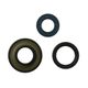 Engine Oil Seals Kit