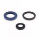 Engine Oil Seals Kit
