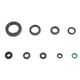 Engine Oil Seals Kit