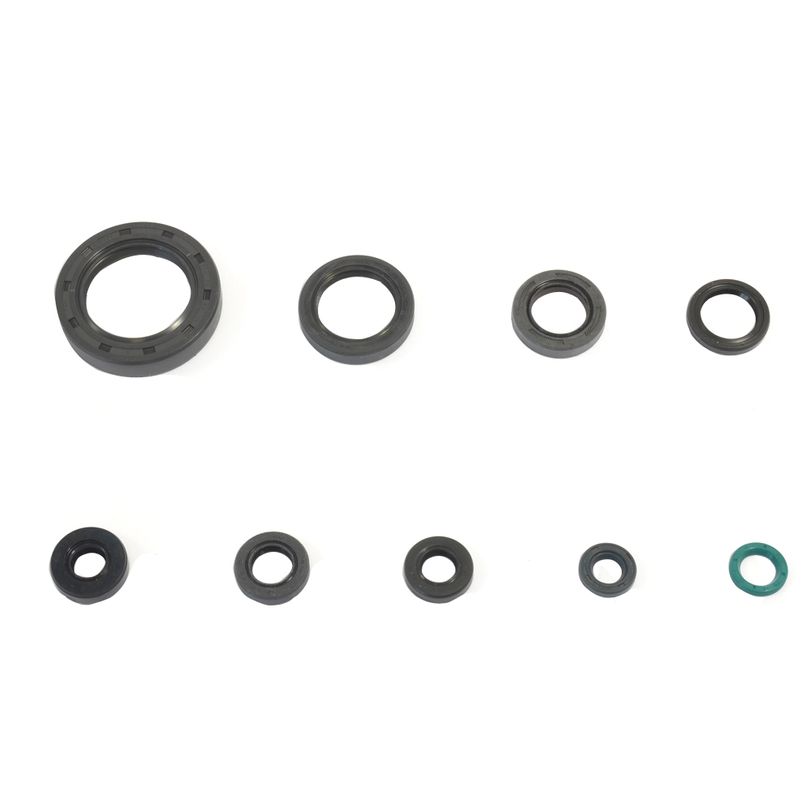 Engine Oil Seals Kit
