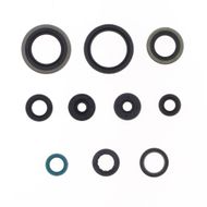 Engine Oil Seals Kit