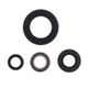 Engine Oil Seals Kit