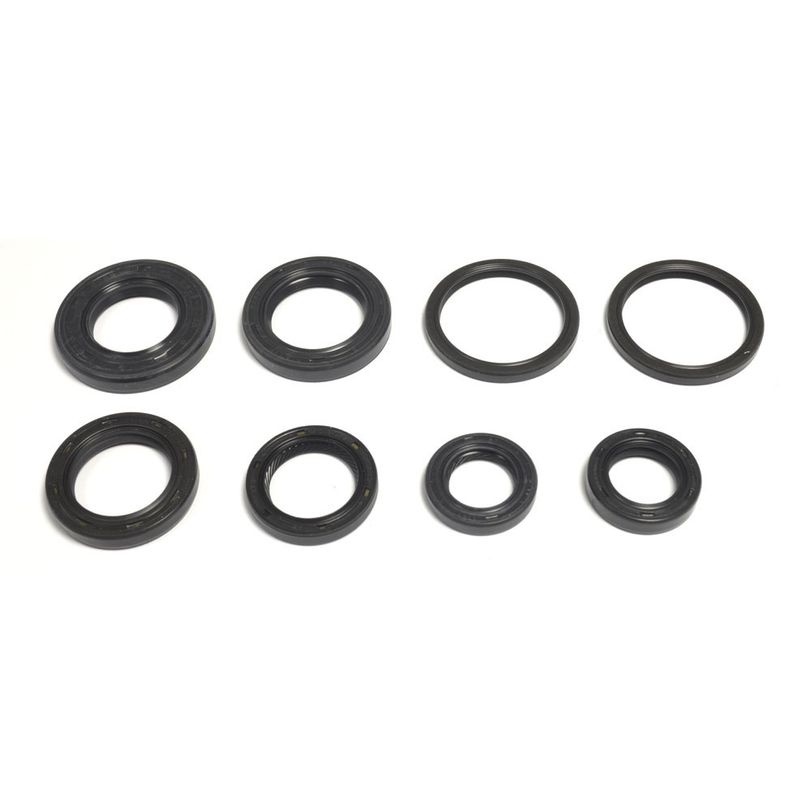 Engine Oil Seals Kit