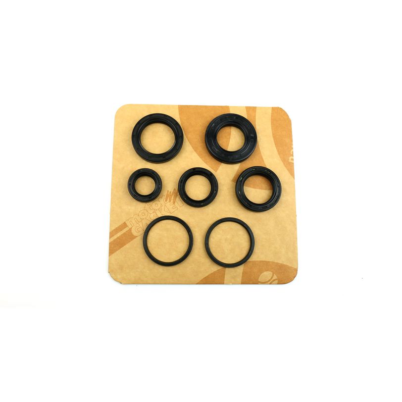 Engine Oil Seals Kit