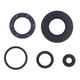 Engine Oil Seals Kit