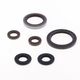 Engine Oil Seals Kit