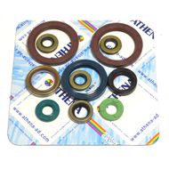 Engine Oil Seals Kit