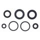 Engine Oil Seals Kit