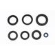 Engine Oil Seals Kit