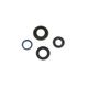 Engine Oil Seals Kit