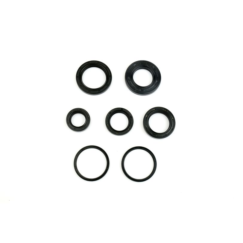 Engine Oil Seals Kit