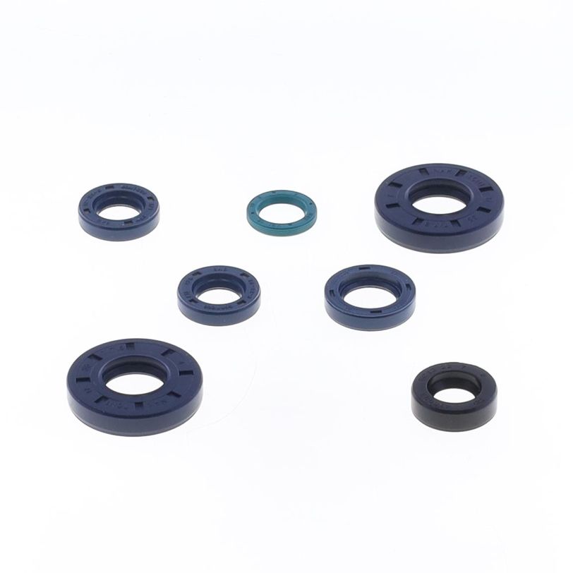 Engine Oil Seals Kit