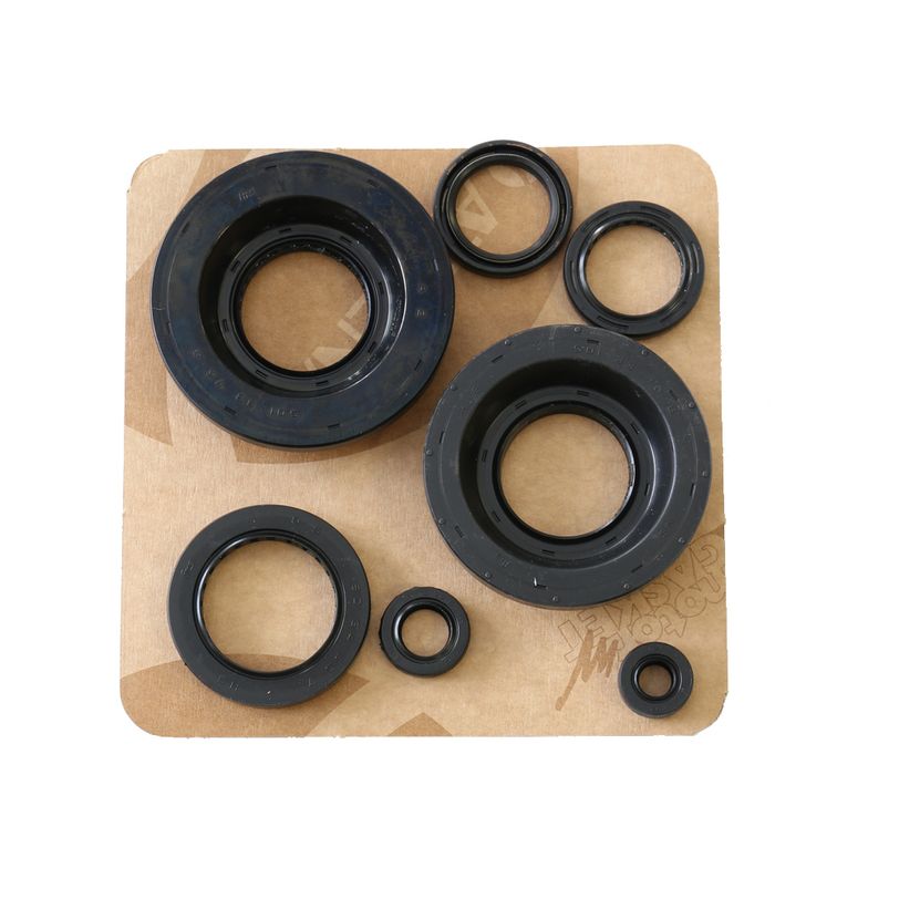 Engine Oil Seals Kit