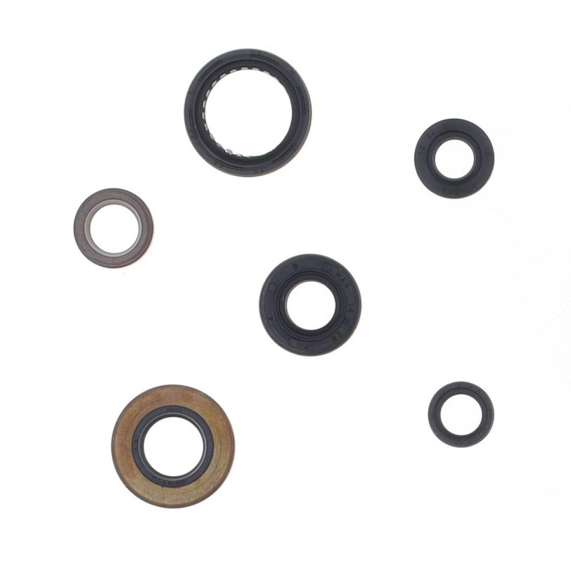 Engine Oil Seals Kit