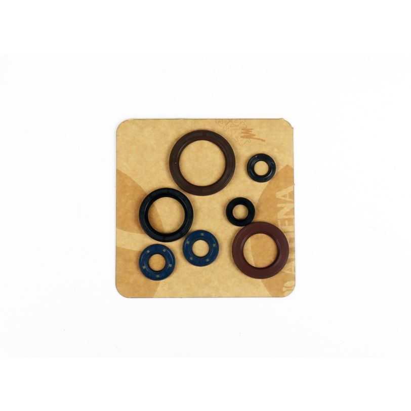 Engine Oil Seals Kit