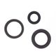 Engine Oil Seals Kit