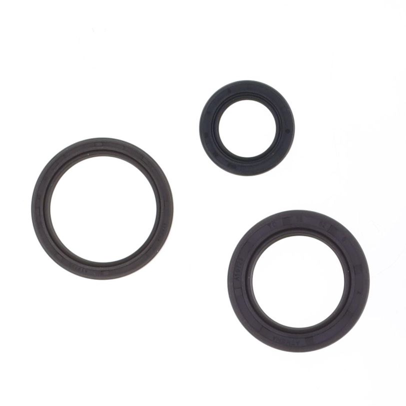 Engine Oil Seals Kit