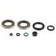 Engine Oil Seals Kit