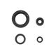 Engine Oil Seals Kit