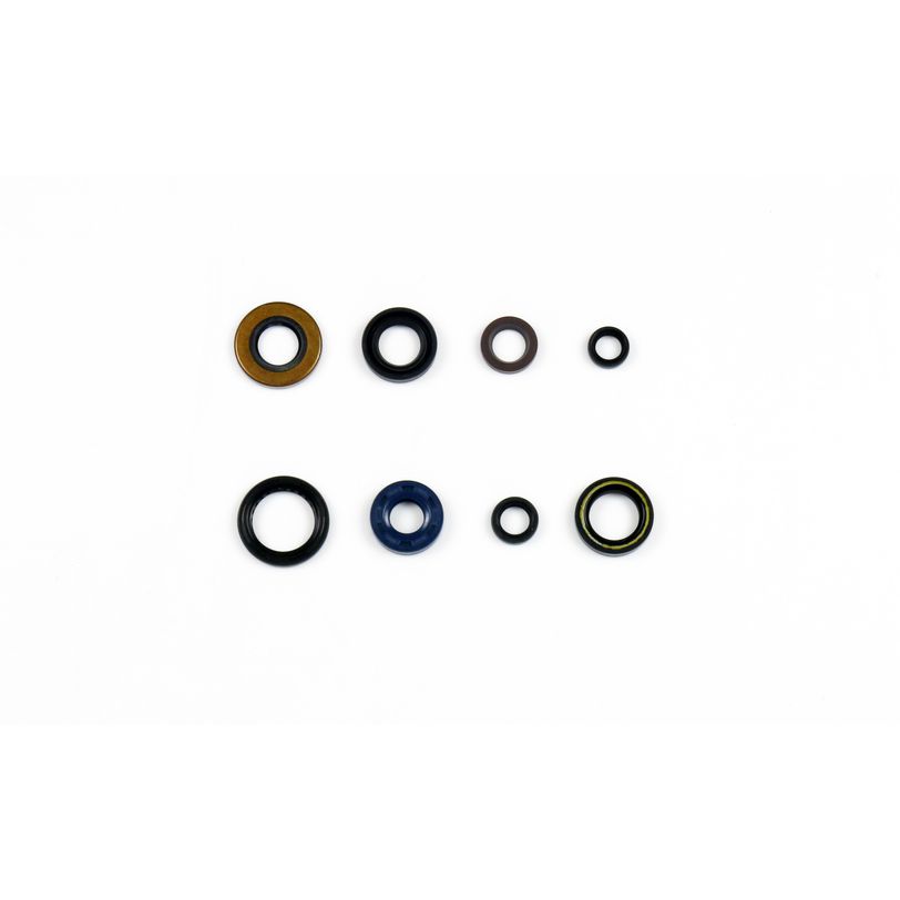 Engine Oil Seals Kit