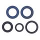 Engine Oil Seals Kit