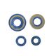 Engine Oil Seals Kit