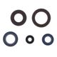 Engine Oil Seals Kit
