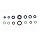 Engine Oil Seals Kit
