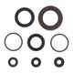 Engine Oil Seals Kit