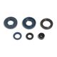 Engine Oil Seals Kit
