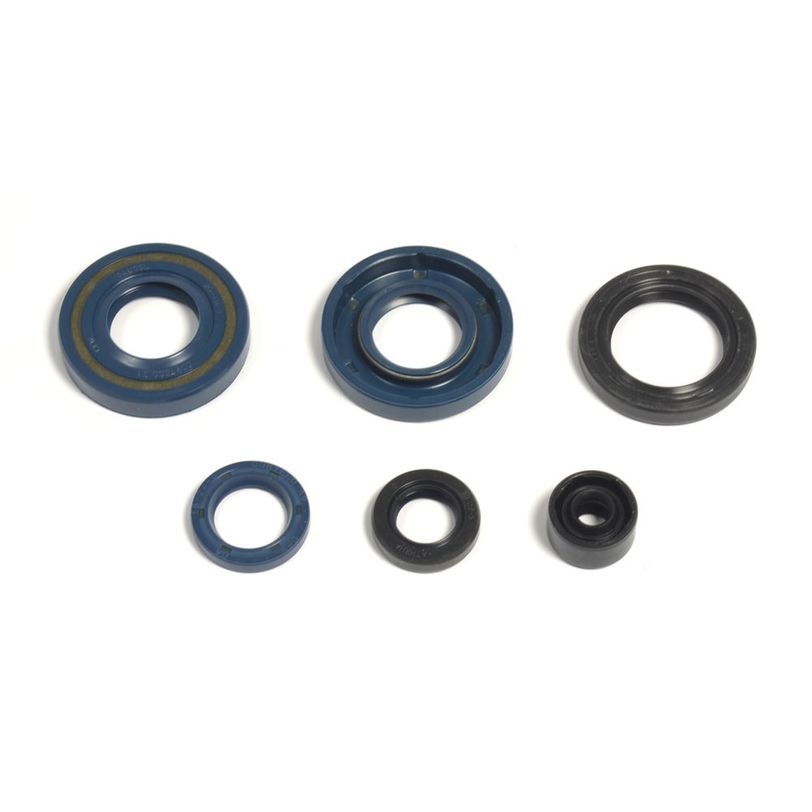 Engine Oil Seals Kit