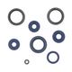 Engine Oil Seals Kit