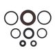 Engine Oil Seals Kit