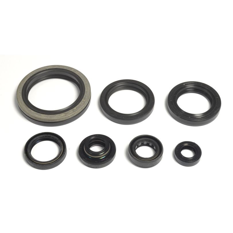 Engine Oil Seals Kit