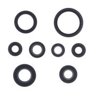 Engine Oil Seals Kit