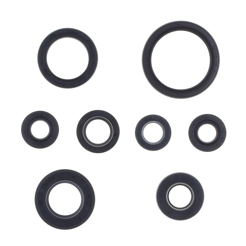 Engine Oil Seals Kit