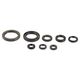 Engine Oil Seals Kit