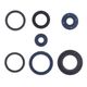 Engine Oil Seals Kit