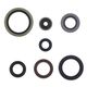Engine Oil Seals Kit