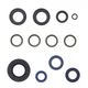 Engine Oil Seals Kit