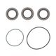 Engine Oil Seals Kit