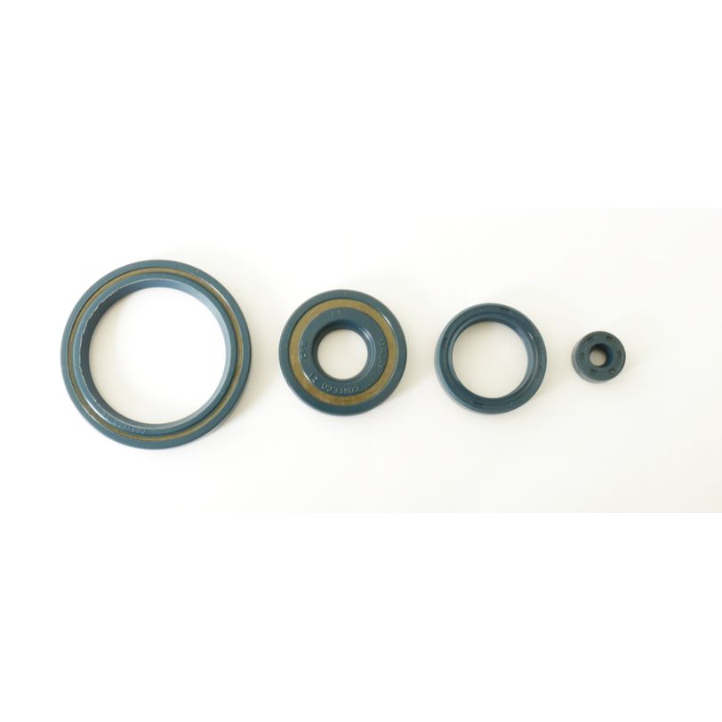 Engine Oil Seals Kit