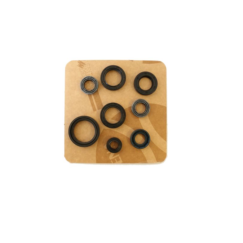 Engine Oil Seals Kit