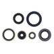 Engine Oil Seals Kit