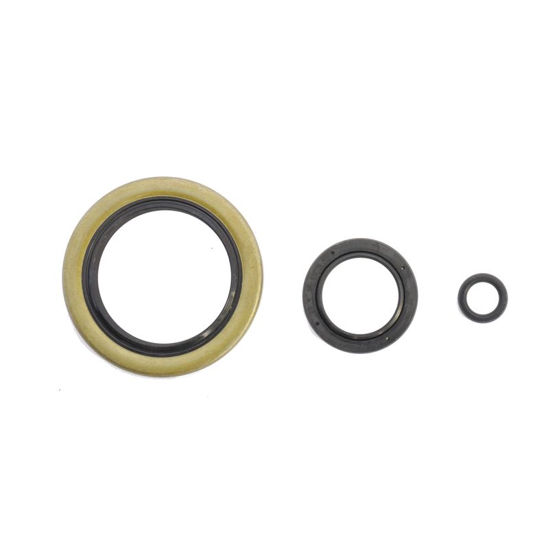 Engine Oil Seals Kit