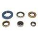 Engine Oil Seals Kit