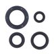Engine Oil Seals Kit