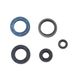 Engine Oil Seals Kit