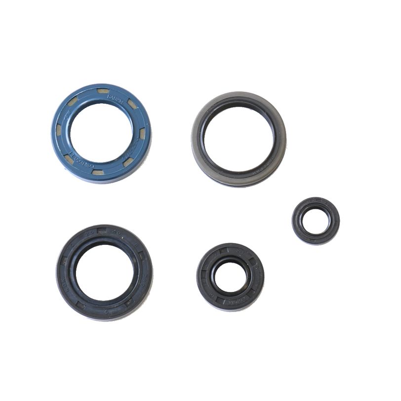 Engine Oil Seals Kit