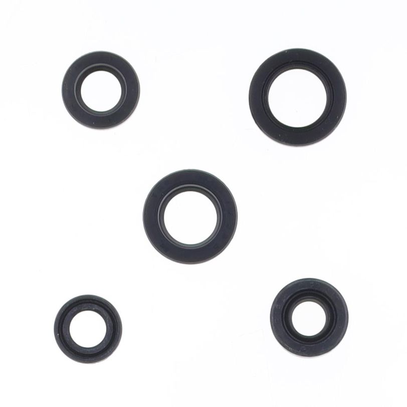Engine Oil Seals Kit